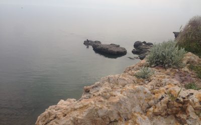 KM 2825 bis 3412 – Kuhattacke an der Ägäis