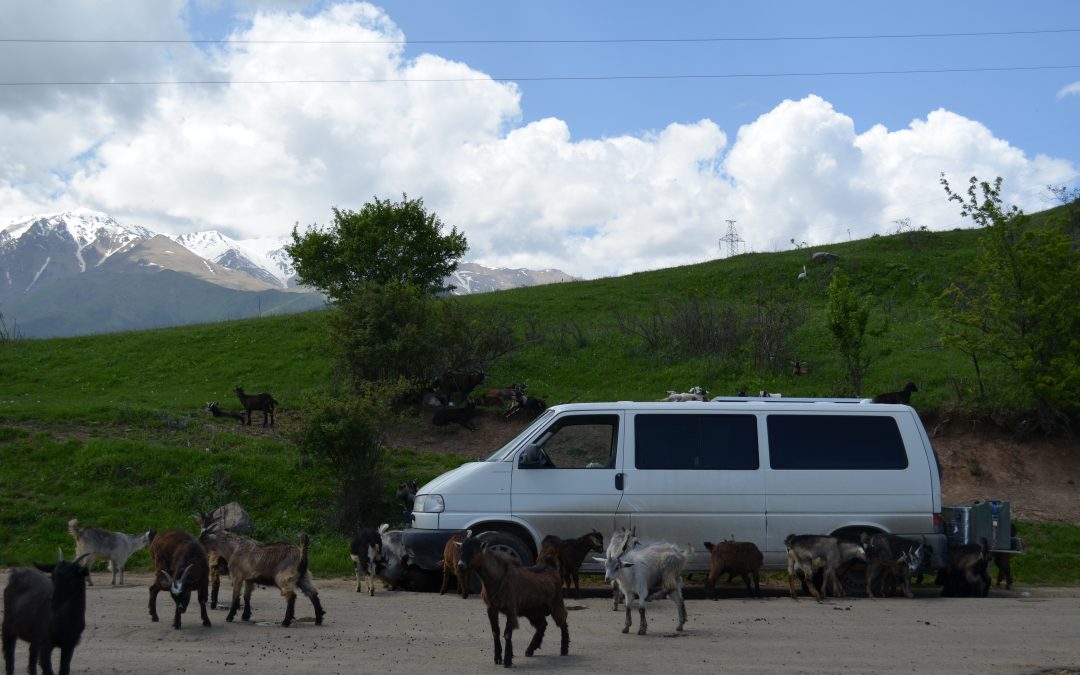 KM 6828 bis KM 7103 – Tschüss Armenien